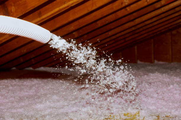 Best Insulation for New Construction  in Waterville, MN