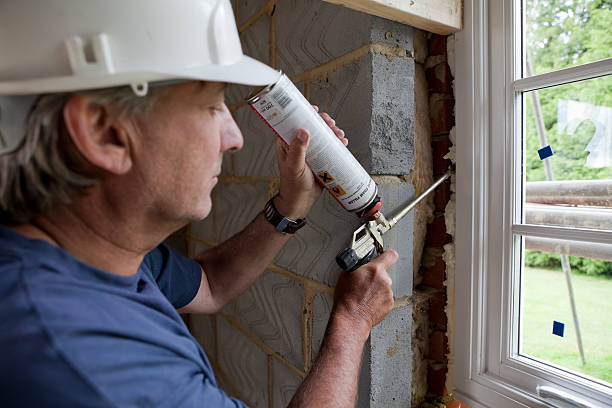 Best Professional Insulation Contractor  in Waterville, MN